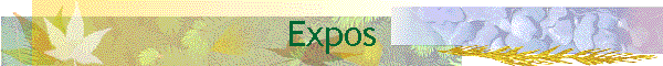 Expos